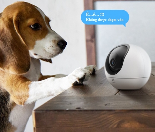 Camera EZVIZ CS-H6-R100-1J5WF (H6 5MP) 3K – Quay Quét AI Thông Minh Trong Nhà, Hỗ Trợ Wi-Fi 5GHz